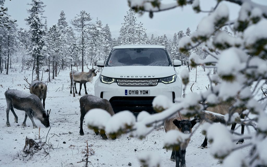 Zu Besuch bei Rentierhirten in Schweden Land Rover Discovery in Schneelandschaft mit Rentieren