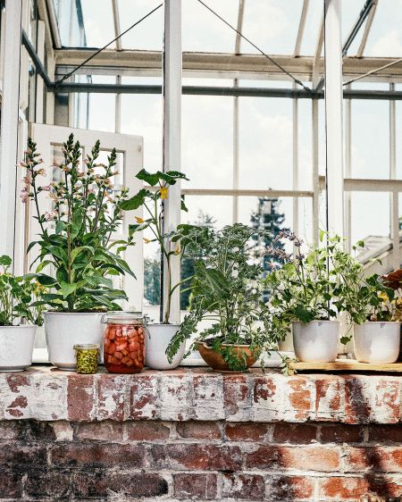 Kpm Blumentöpfe in der Königlichen Gartenakademie Berlin