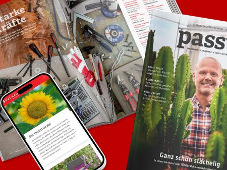Cover des BAUHAUS Kundenmagazins „passt!“, aufgeschlagene Magazinseite und Smartphone mit Online-Artikel der Website richtiggut.de auf rotem Hintergrund