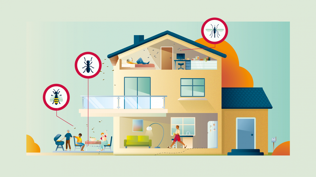 Querschnitt-Illustration eines Wohnhauses, die den Befall durch verschiedene Insekten wie Wespen, Ameisen und Mücken darstellt